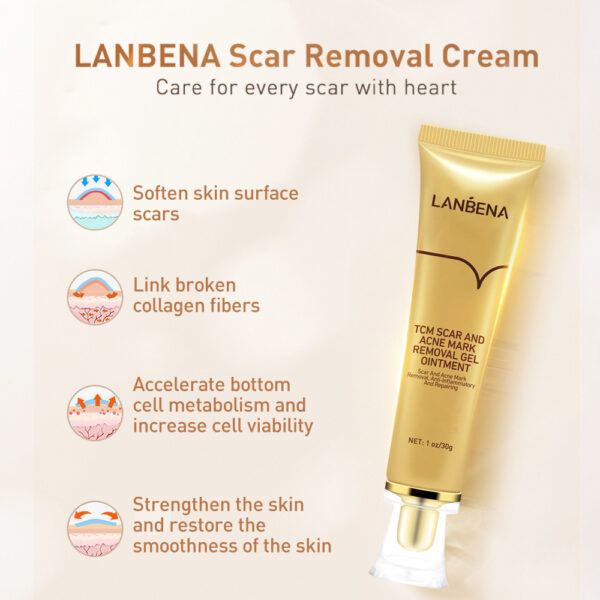 Traditional Chinese Medicine Scar Removal Cream Care Cream Skin Care Products - Image 3