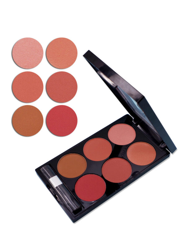 Make-up Multi-color Boutique Domestic Product Six-color Blush Repair Makeup - Image 4